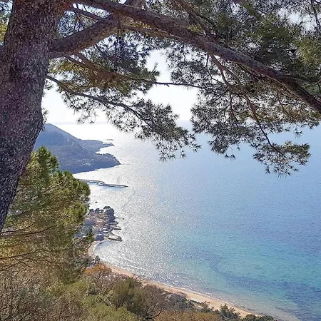 La Pennichella *